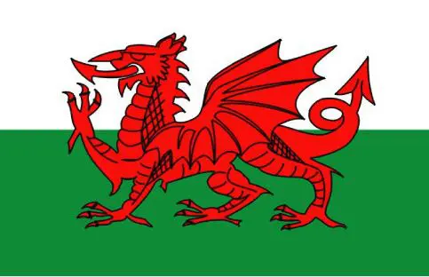 welsh-flag.png
