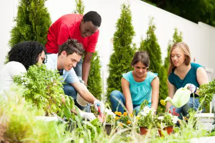 Group of teenage friends gardening.