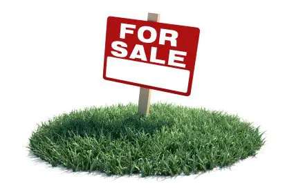 iStock_000018578806XSmall