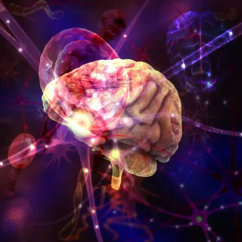 shutterstock_124885900