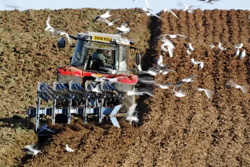 shutterstock_143883322