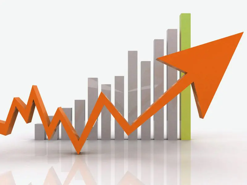 RiseInSearchRankings