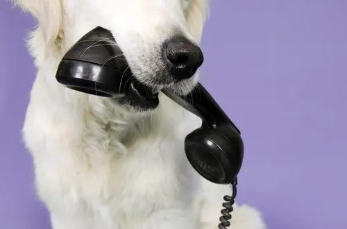 shutterstock_153222398