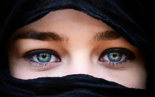 shutterstock_154896890