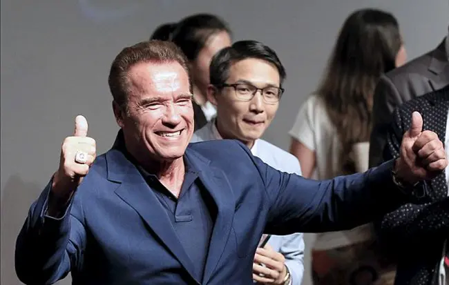 sugar-snubbed-apprentice