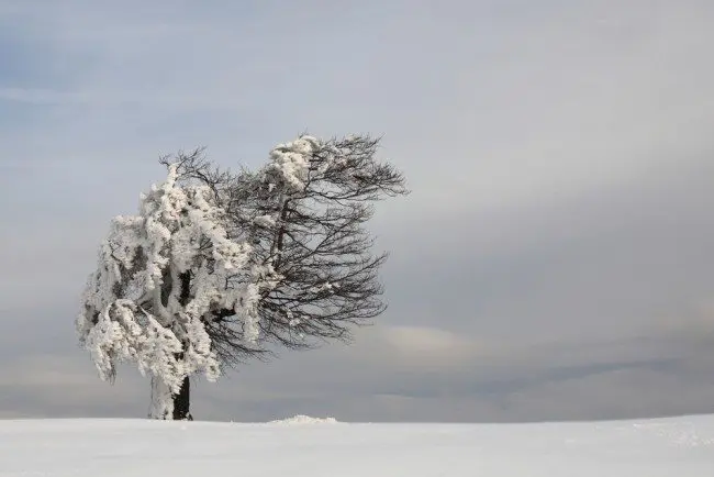 shutterstock_116830648