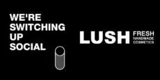 lush social media