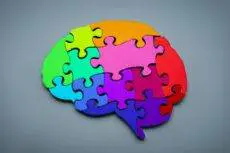 Whether you’re looking to build a thriving company culture, access top talent, or foster fairer opportunities and outcomes – diversity and inclusion are absolutely imperative in the workplace.