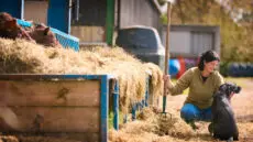 Barclays has launched a new market-leading lending facility designed to support UK farmers adopting regenerative and sustainable agricultural practices.