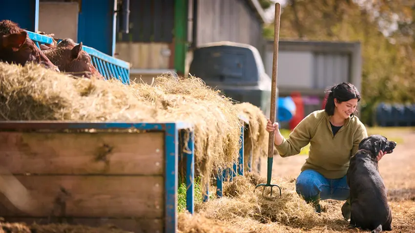 Barclays has launched a new market-leading lending facility designed to support UK farmers adopting regenerative and sustainable agricultural practices.