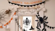 From handcrafted partyware to science-backed pet supplements, few firms look less alike than Meri Meri and PetLab Co.