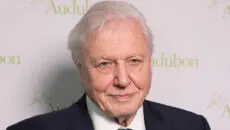 Sir David Attenborough has become the oldest person ever to win a Daytime Emmy, marking another extraordinary milestone in a broadcasting career that has spanned more than seven decades.