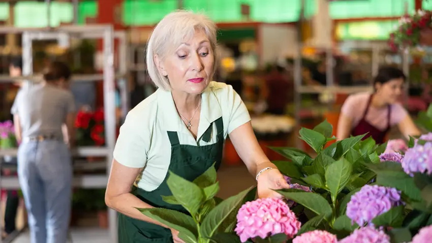 More than a million people over 50 in the UK work for themselves. Some do it for freedom and flexibility; others do it because redundancy, caring responsibilities or health changes make traditional employment harder.