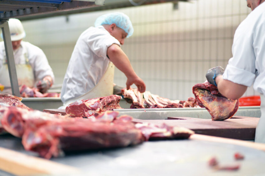 meat processing