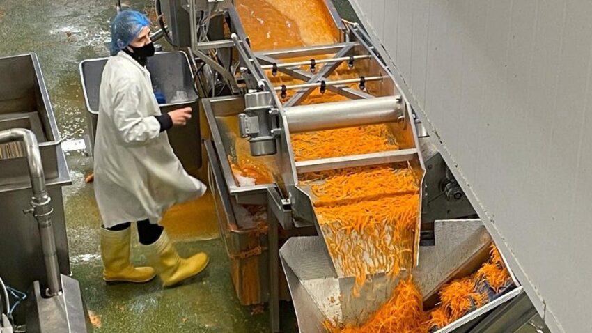 Food Processing