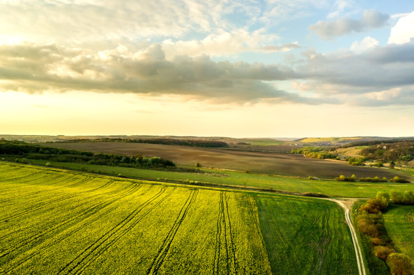 Farmers in England will be given taxpayers’ cash to rewild their land, under plans for large-scale nature recovery projects announced by the government.