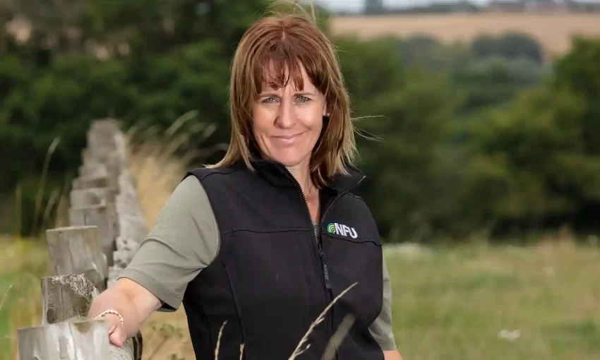 Farmers are threatening to quit the National Farmers’ Union after its leader said she supported the UK government’s apparent move to scrap post-Brexit nature subsidies.