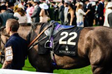 The future of British horse racing is under serious threat unless the government urgently reconsiders proposed tax changes and new gambling regulations, a cross-party group of MPs and peers has warned.