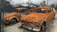 I’ve been to Los Angeles many times over the years — for work, for pleasure, and occasionally for that curious hybrid of both that journalists tell their accountants is “business travel”. I’ve always loved the place: the optimism in the air, the palm-lined streets, the sun-washed hills rolling down to the Pacific.