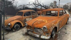 I’ve been to Los Angeles many times over the years — for work, for pleasure, and occasionally for that curious hybrid of both that journalists tell their accountants is “business travel”. I’ve always loved the place: the optimism in the air, the palm-lined streets, the sun-washed hills rolling down to the Pacific.