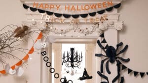 From handcrafted partyware to science-backed pet supplements, few firms look less alike than Meri Meri and PetLab Co.